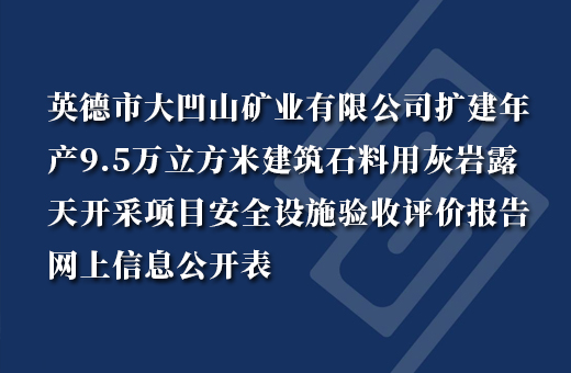 英德市大凹山矿业有限公司