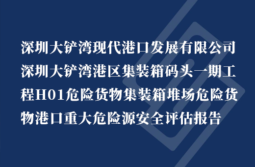 深圳大铲湾现代港口发展有限公司