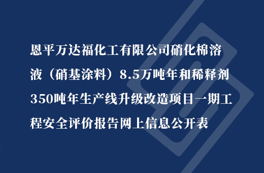 恩平万达福化工有限公司硝化棉溶液8.5万吨/年和稀释剂350吨/年生产线升级改造项目一期工程