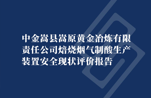 中金嵩县嵩原黄金冶炼有限责任公司焙烧烟气制酸生产装置