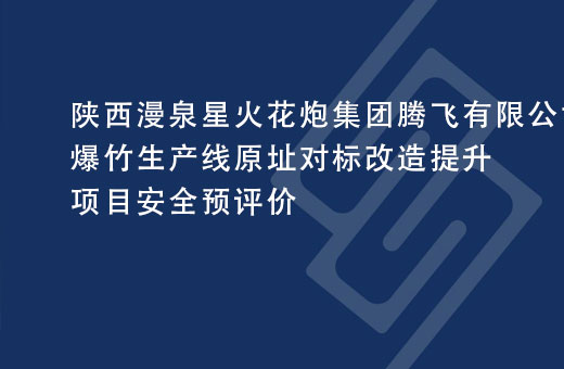 陕西漫泉星火花炮集团腾飞有限公司爆竹生产线原址对标改造提升项目安全预评价