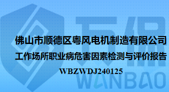 佛山市顺德区粤风电机制造有限公司工作场所职业病危害因素检测与评价报告