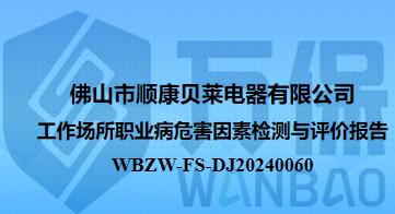 佛山市顺康贝莱电器有限公司工作场所职业病危害因素检测与评价报告