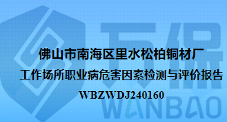 佛山市南海区里水松柏铜材厂工作场所职业病危害因素检测与评价报告