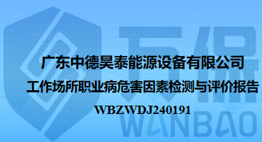 广东中德昊泰能源设备有限公司工作场所职业病危害因素检测与评价报告