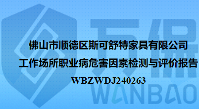 佛山市顺德区斯可舒特家具有限公司工作场所职业病危害因素检测与评价报告