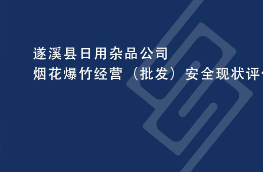 遂溪县日用杂品公司烟花爆竹经营（批发）安全现状评价报告